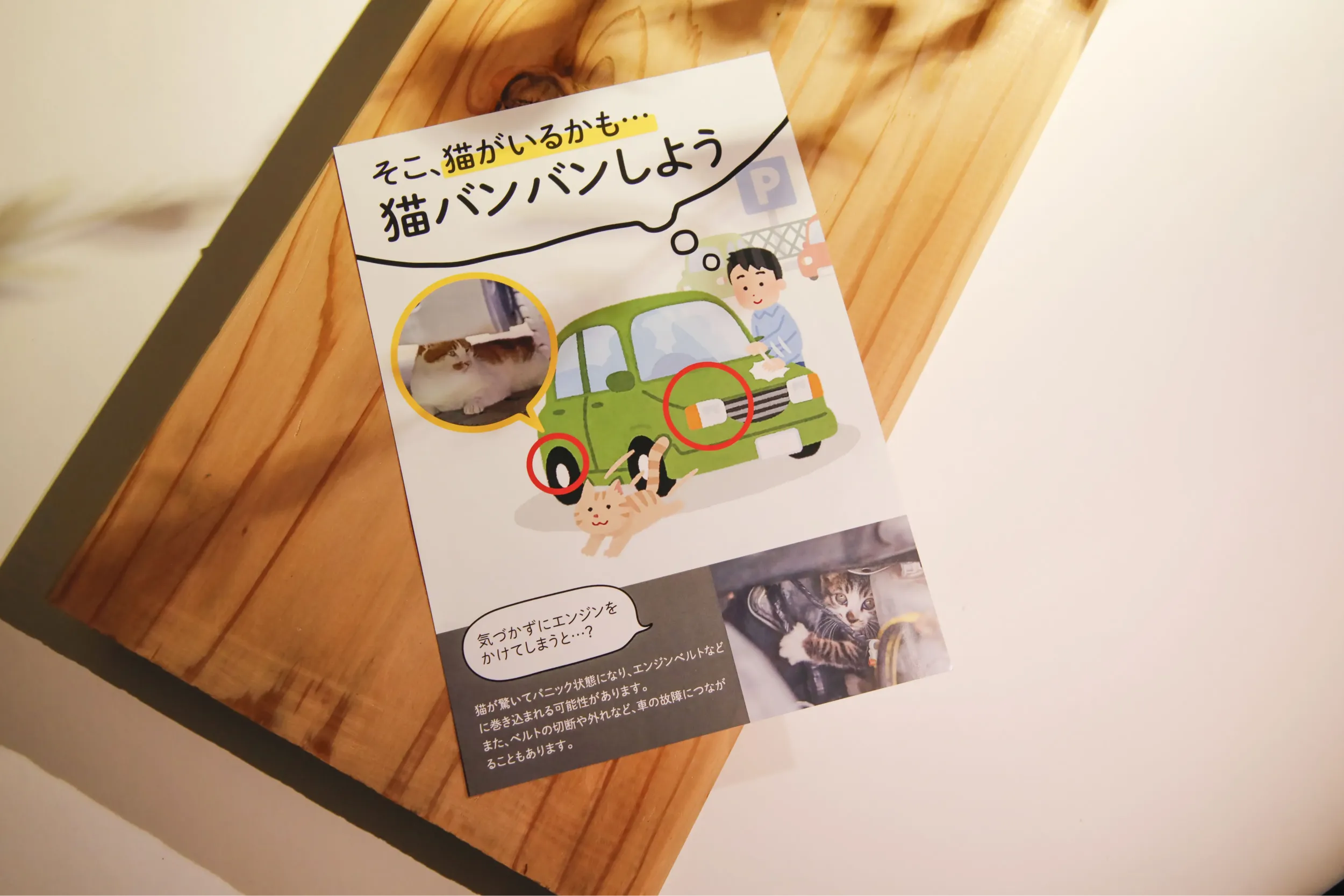 一般社団法人ONC チラシ