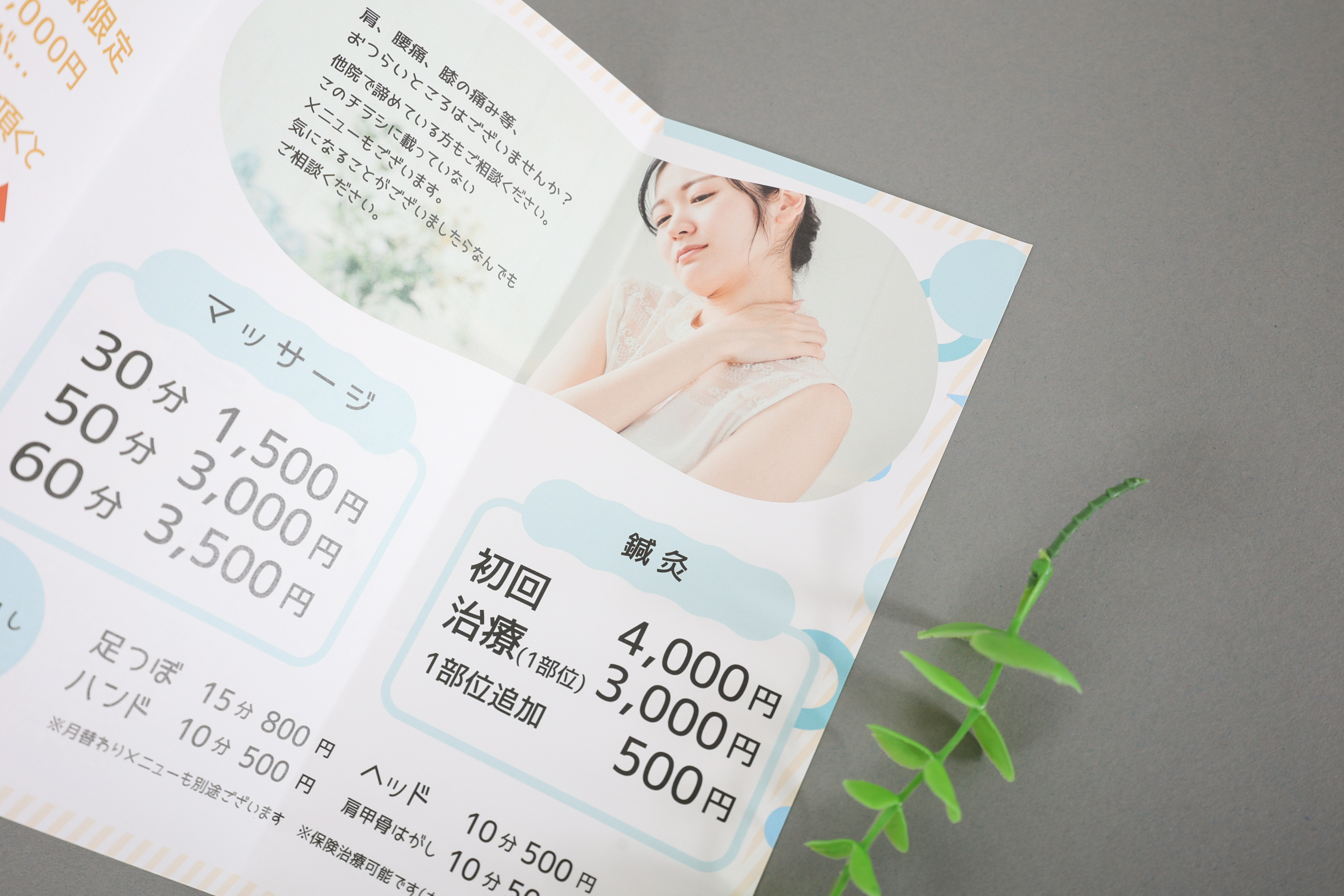 3C6A3479 のコピー